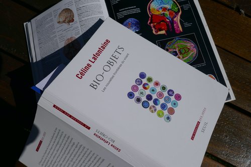 Céline Lafontaine.jpeg