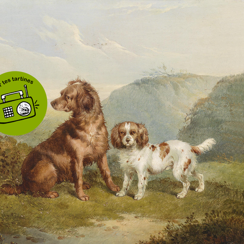 Chiens, chiennes, toutous et autres canidés  Du son sur tes tartines.png