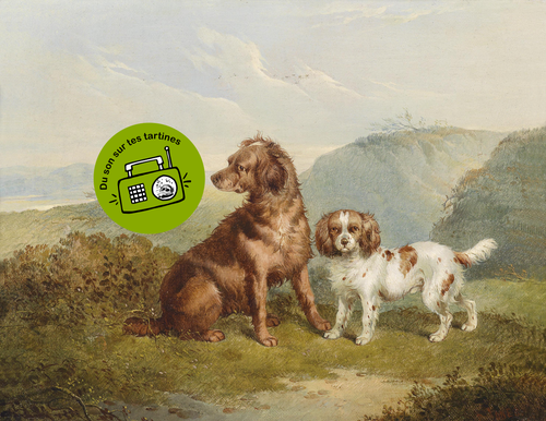 Chiens, chiennes, toutous et autres canidés  Du son sur tes tartines.png