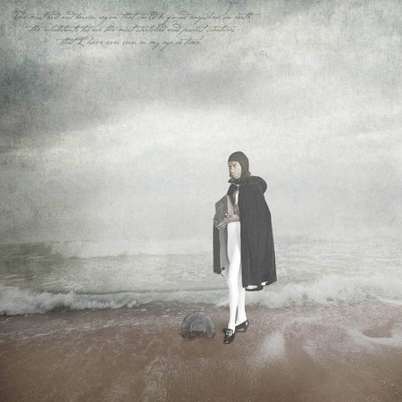 Civilised, Michael Cook 2.jpg