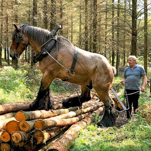 Fild de débardeur-2_600x600px