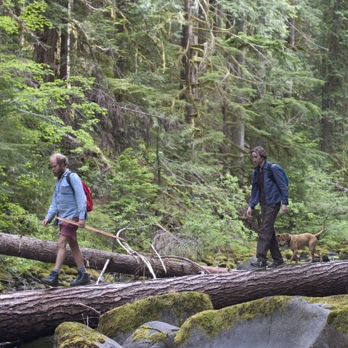 Old Joy - Kelly Reichardt