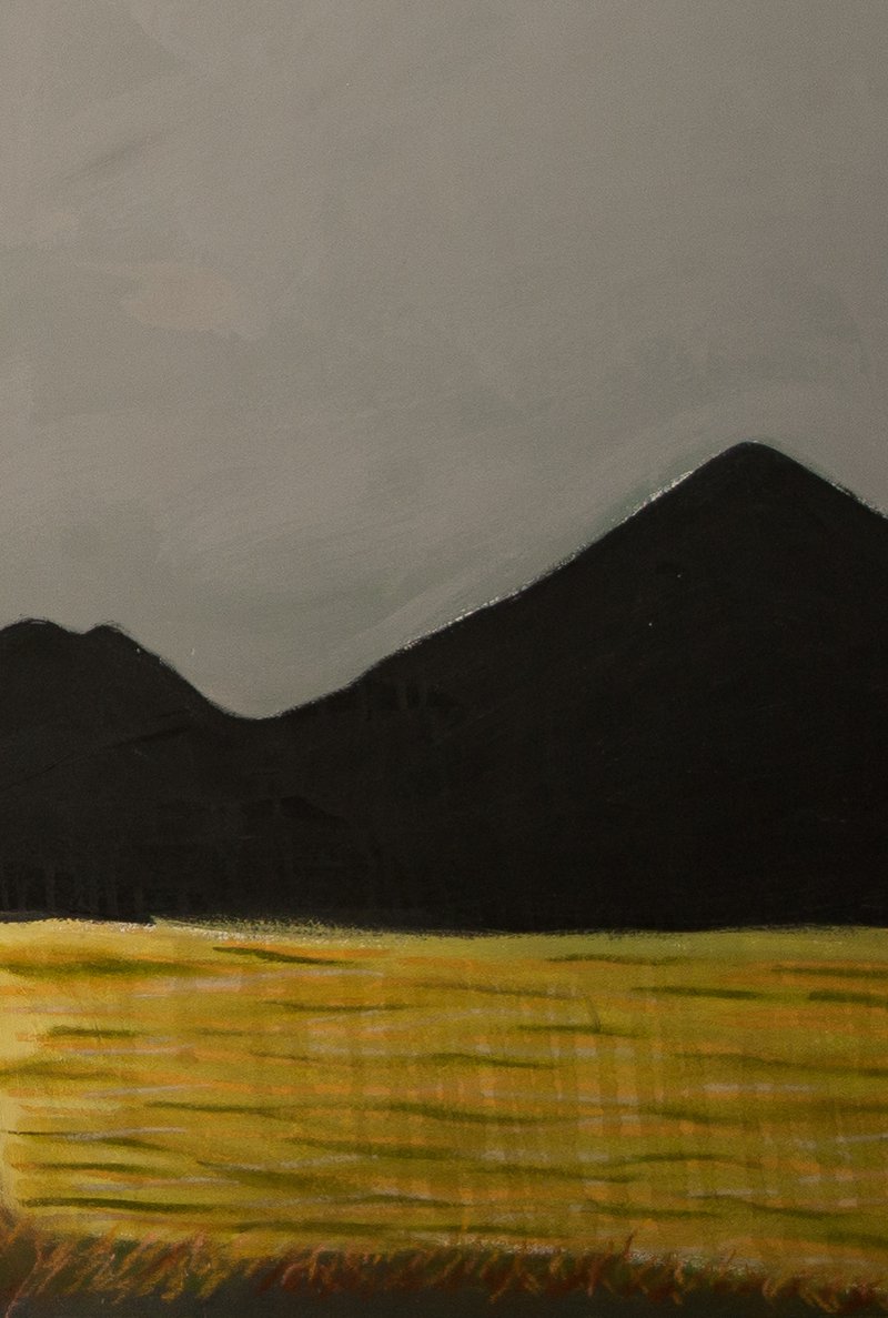 Bruno vande Graaf 6 - photo Alicia Hernandez-Dispaux