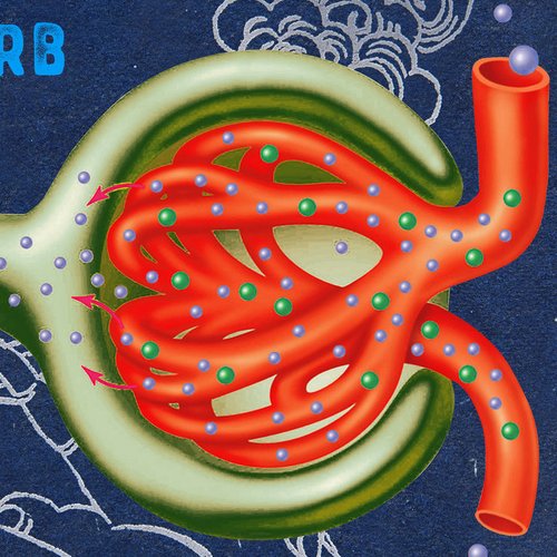 Jon Armstrong Sextet : "Reabsorb"