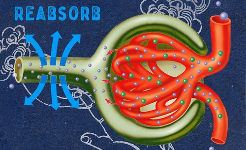 Jon Armstrong Sextet : "Reabsorb"