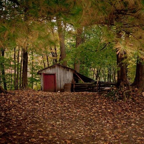 Une cabane au fond du bois photographiée par Emmanuel Huybrechts