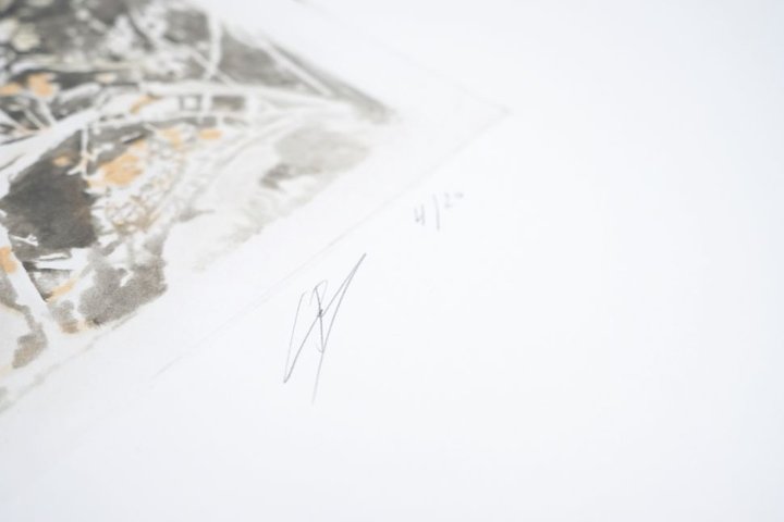 Luc Tuymans sérigraphies 2