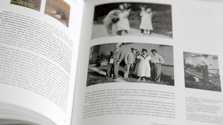 Magritte The Revealing Image Ludion 2