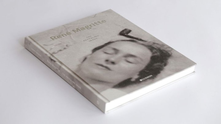 Magritte The Revieling Image Ludion