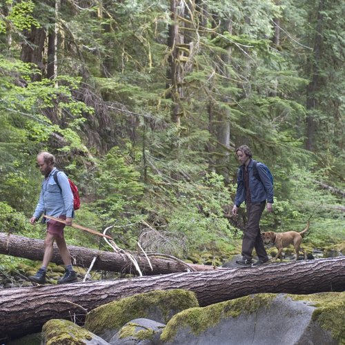 Old Joy de Kelly Reichardt