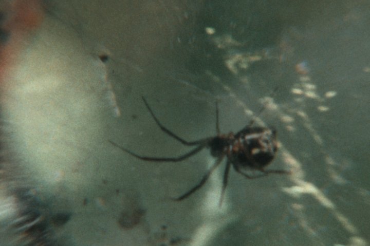 Olivier Dekegel : "Rond est le monde" - image 3