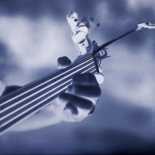 Oud, close-up of fingerboard, photograph Du son sur tes tartines 2.jpg