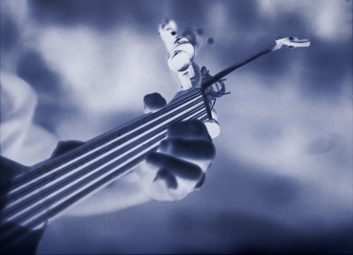 Oud, close-up of fingerboard, photograph Du son sur tes tartines 2.jpg