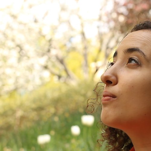 Quand je veux si je veux