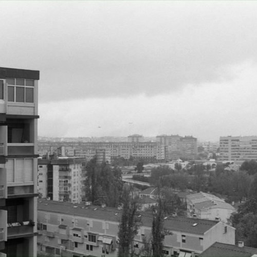 Tabou - Miguel Gomes 1