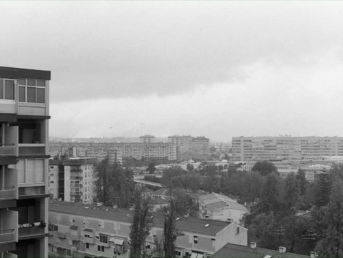 Tabou - Miguel Gomes 1