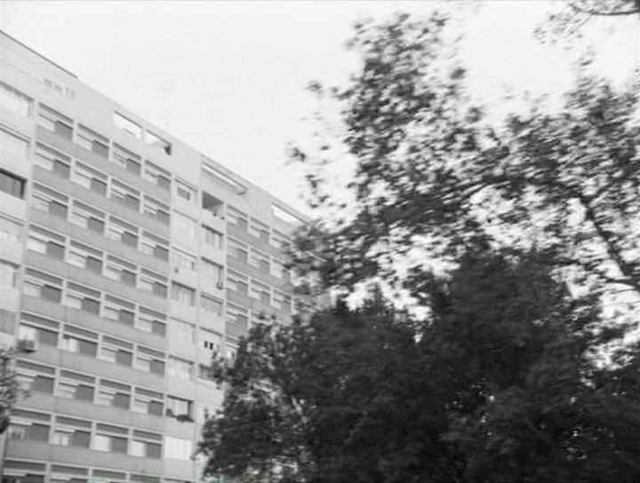 Tabou - Miguel Gomes 4