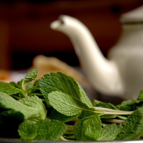 RévolThé Rêver la révolution autour d’un thé à la menthe Du son sur tes tartines