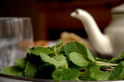 RévolThé Rêver la révolution autour d’un thé à la menthe Du son sur tes tartines