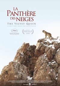 La panthère des neiges