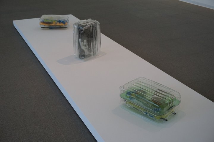 X-RAY - (c) François Curlet au MAC's