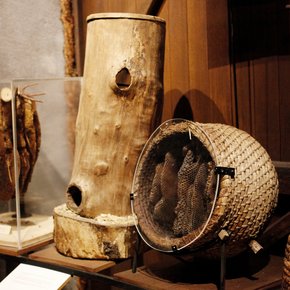 musee de l'abeille