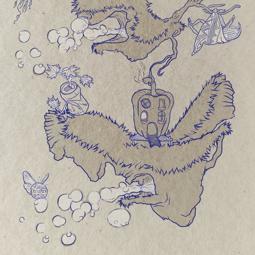 couverture solastalgie - camille pier