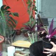 Altervoyages - semaine du commerce équitable