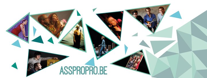 asspropro.jpg