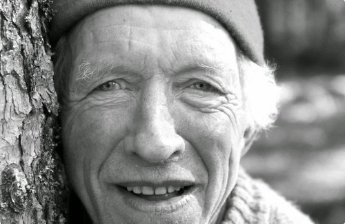 le ceuilleur d'arbre