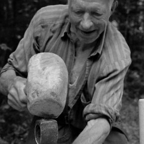 le ceuilleur d'arbre