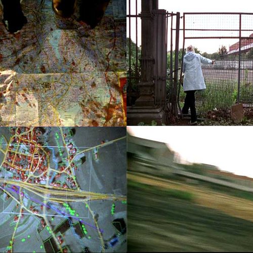 Chats errants #DocsàGoûter