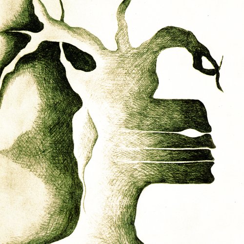 promenons-nous dans les bois 2