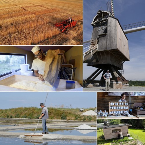 farine sel et savoir-faire.jpg