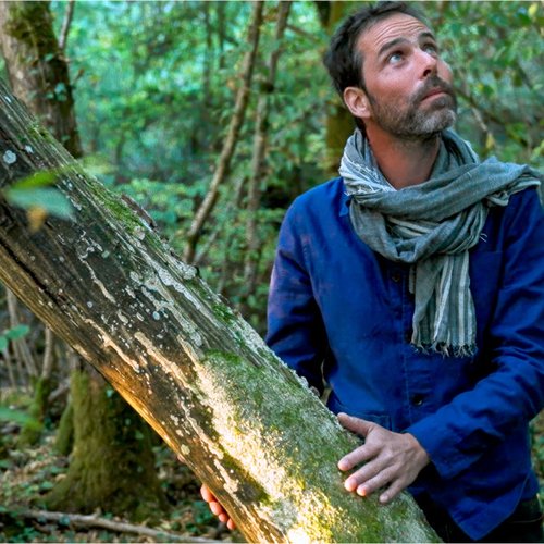 la-sagesse-de-nos-arbres_600x600px