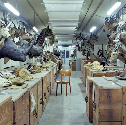 Interview du photographe Jacques Vekemans