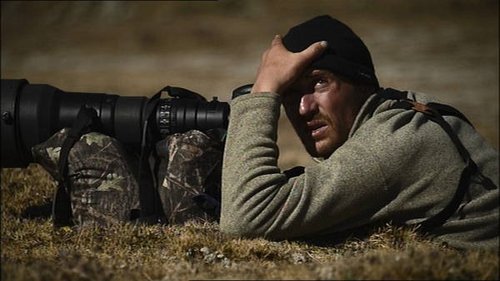 Abyssinie, l’appel du Loup