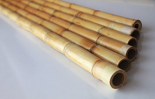 tartines ney muziek•culture