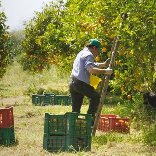 nul-homme-n-est-une-ile_600x600px