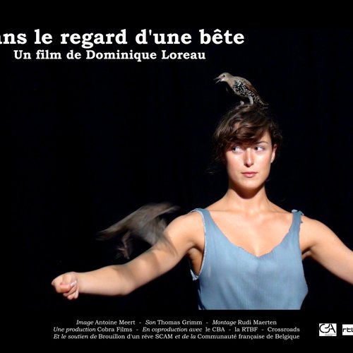 Dans le regard d’une bête