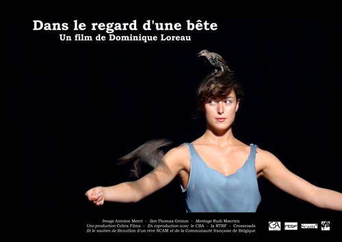 Dans le regard d’une bête