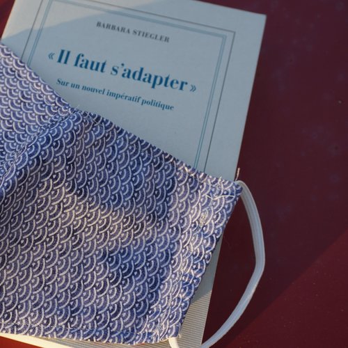 Relations entre système économique et système de soins