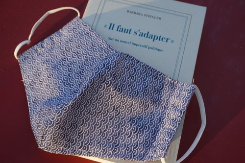 Relations entre système économique et système de soins