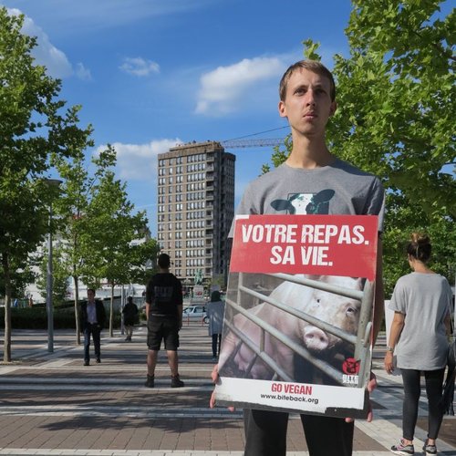 Le véganisme : une nouvelle utopie ? / Julien