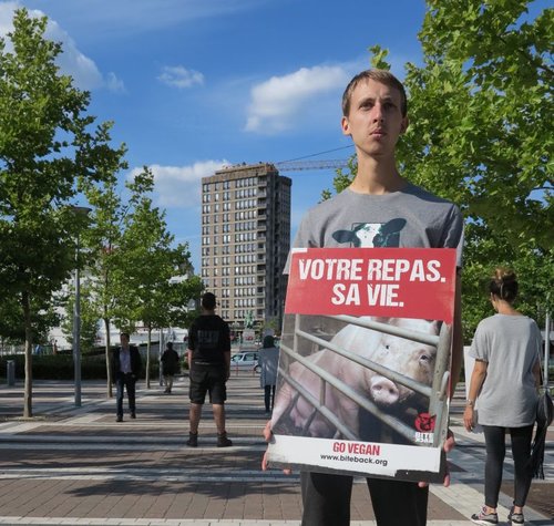 Le véganisme : une nouvelle utopie ? / Julien